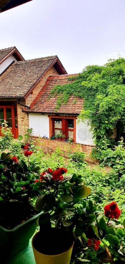 Ilkicev Kucerak Apartman Vrdnik Luaran gambar